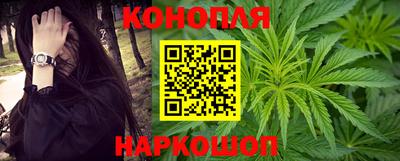 гидропоника Ставрополь